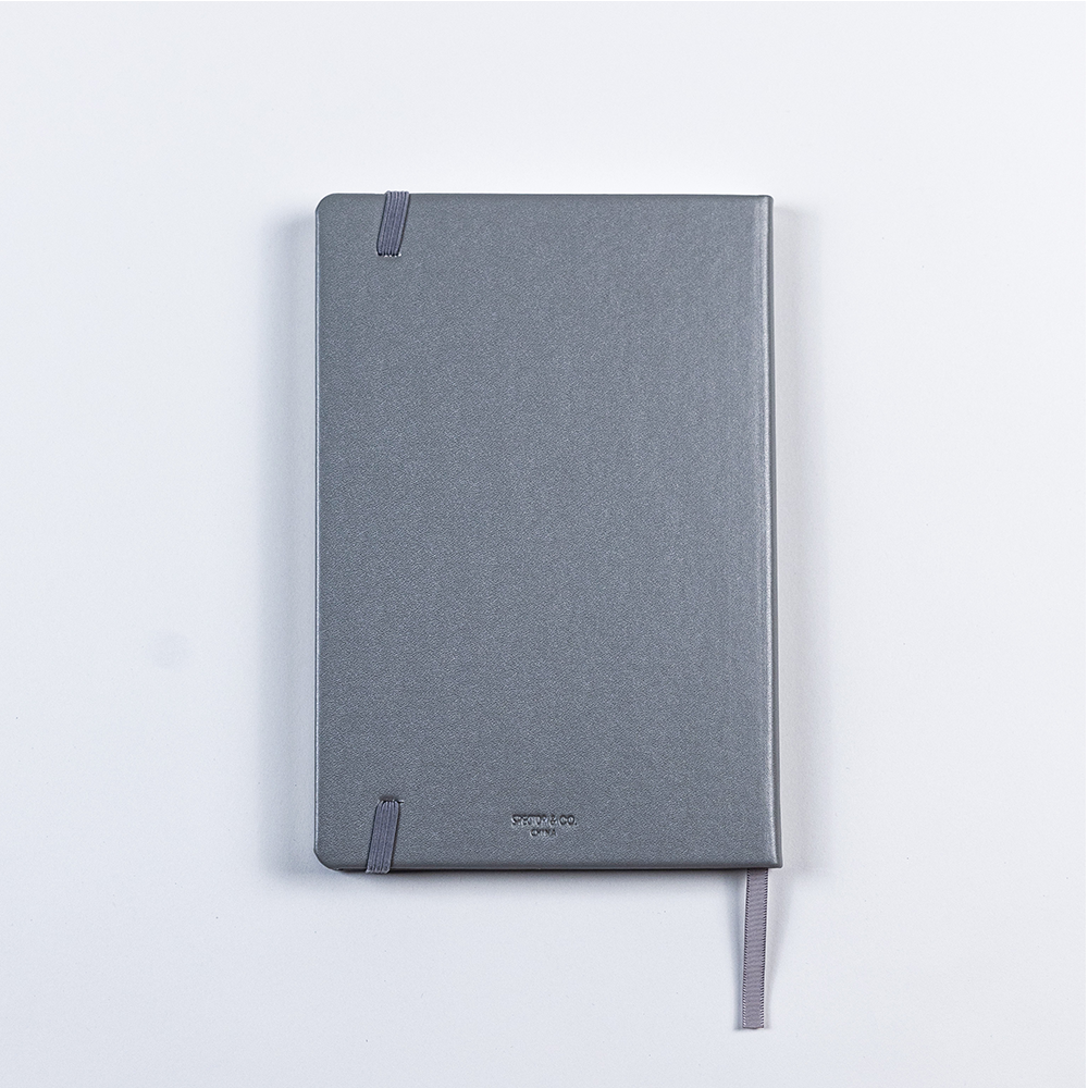 Jesus School Journal — Gray